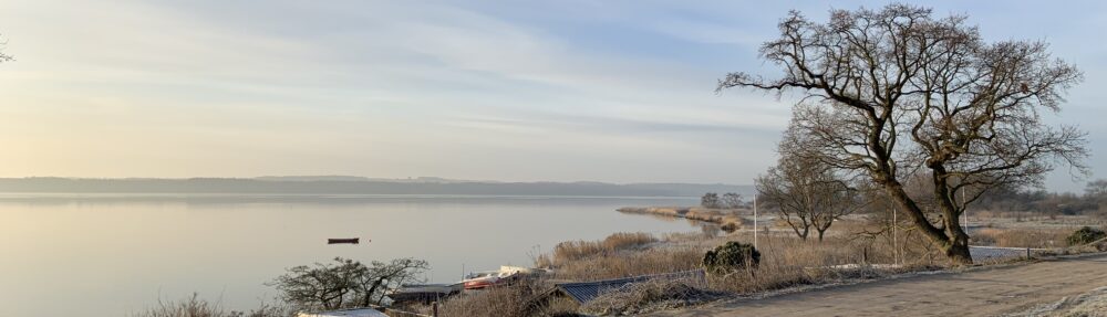 Grundejerforeningen Grønningen